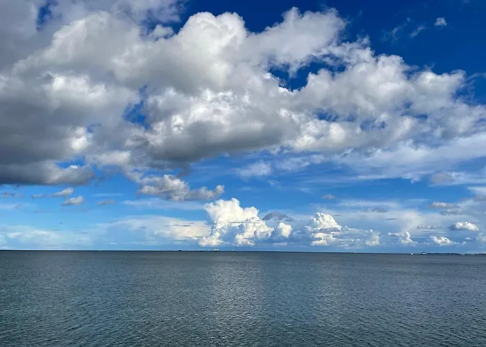 Bea Mar * גדינייה